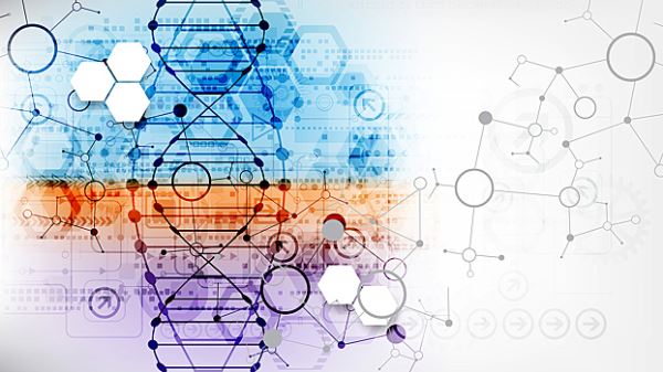 Science Bulletin: у больных поликистозом почек снижен риск переломов